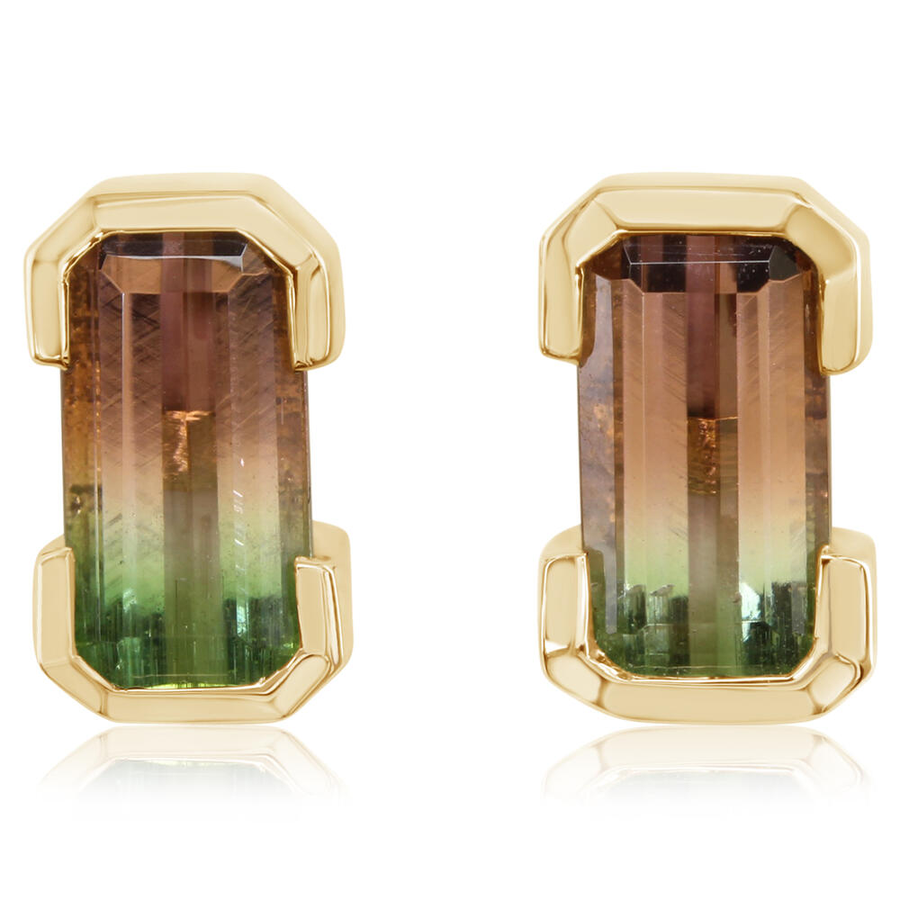 Colored Stone Earring