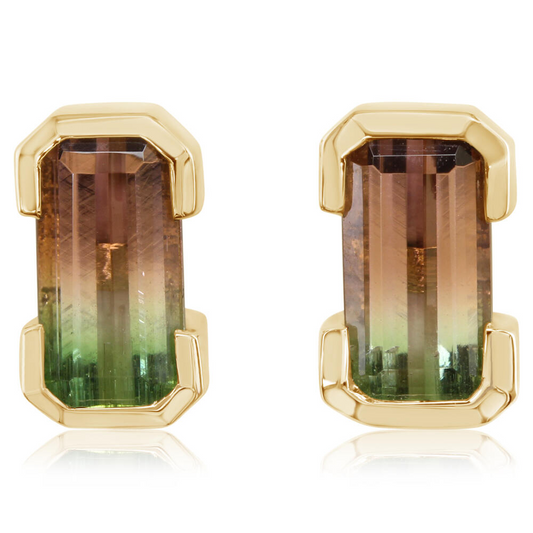 Colored Stone Earring