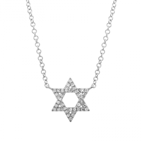 Diamond Star of David Necklace in White Gold