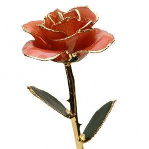 24K Forever Rose