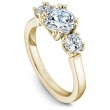 Noam Carver Semi Mount Engagement Ring