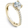 Noam Carver Semi Mount Engagement Ring