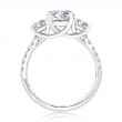 A.Jaffe Engagement Ring Mounting