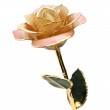 24K Forever Rose