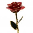 24K Forever Rose