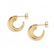 Hoop Graduated  Earrings